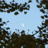 DSC 0432