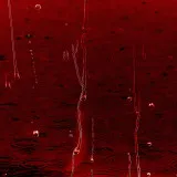 Untitled image