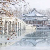 Untitled image