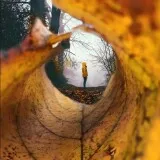 前景构图5