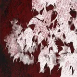 Untitled image