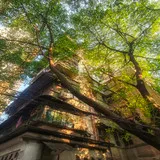 Untitled image