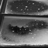 Untitled image