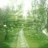 Untitled image