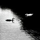 Untitled image