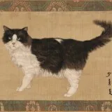Cat2