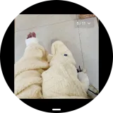 Screenshot 20260307 211130 sbrowser