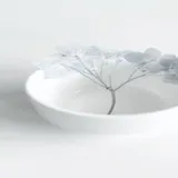 Untitled image
