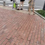 nEO IMG IMG 20240628 151447