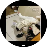 Screenshot 20260307 210726 sbrowser