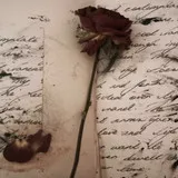 Untitled image