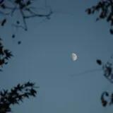 DSC 0456