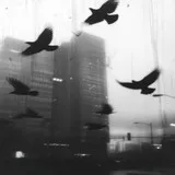 Untitled image