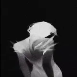 Untitled image