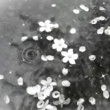 pic 20260202234139 0