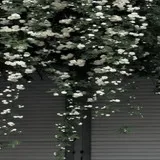 97e196ecf9126df161bf0e289df744e0_1779633842147