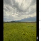 1000073351-f51ff8