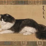 Cat1