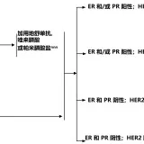 e6b106418cfe6ce539d03c707349b4fc7958b40c420a3ad7332d236254e8b70c