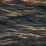 DSCF2650