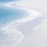 Untitled image