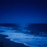 Untitled image