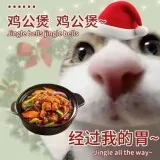 QQ图片20241224201502