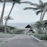 Untitled image