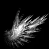 Untitled image
