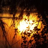 DSCF2643