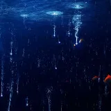 1765432098=47 12