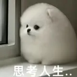 11521