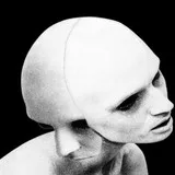 Untitled image