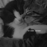 Untitled image