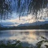 Untitled image