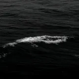 Untitled image