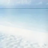 Untitled image