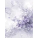 Untitled image