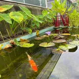 Untitled image