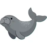 manatee logo