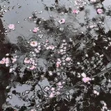 16540