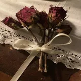 Untitled image