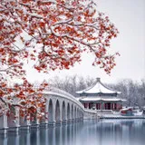 Untitled image