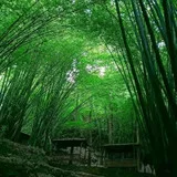 Untitled image