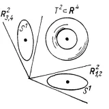 torus