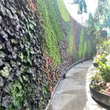 Untitled image