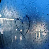 Untitled image