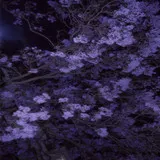 Untitled image