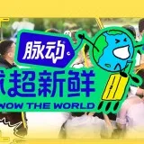 mzc002003s7kptv