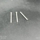 1000084548